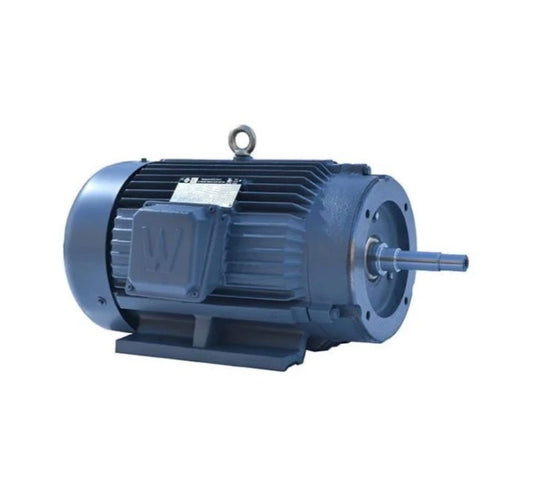 PEWWE25-18-284JM World Wide Electric 25HP 4P 3PH 208-230/460 284JM TEFC CCP